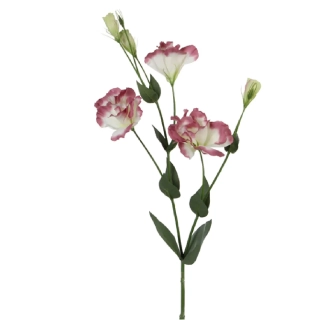 Květina Lisianthus, nafialovělá|Ego Dekor