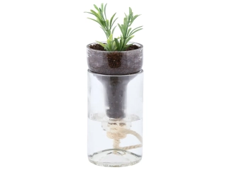 Květináč/Pěstírna se samozávlahou ESSCHERT´S GARDEN 0,5L, čirá|Esschert Design