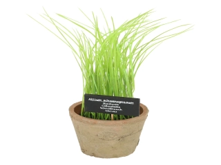 Pažitka v květináči ESSCHERT´S GARDEN , 31 cm|Esschert Design