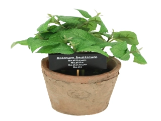 Bazalka v květináči ESSCHERT´S GARDEN , 19 cm|Esschert Design
