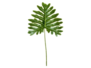 Dekorace list Philodendron 35 x 1 x 80 cm (DOPRODEJ)|Esschert Design