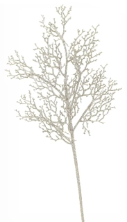 Větev PARI, champagne, 57cm (DOPRODEJ)|Kaheku
