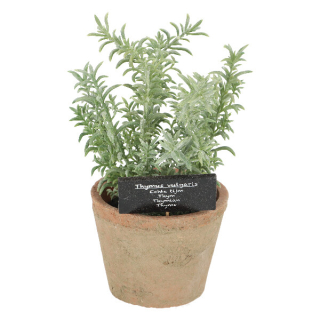 Tymián v květináči ESSCHERT´S GARDEN , 26 cm|Esschert Design