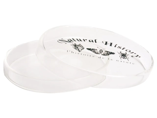 Petriho miska, M|Esschert Design